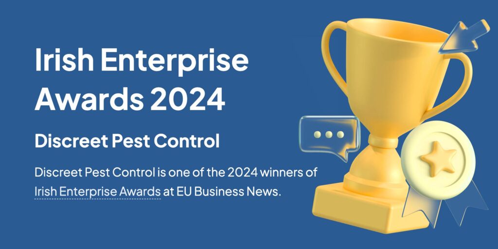 Irish Enterprise awards