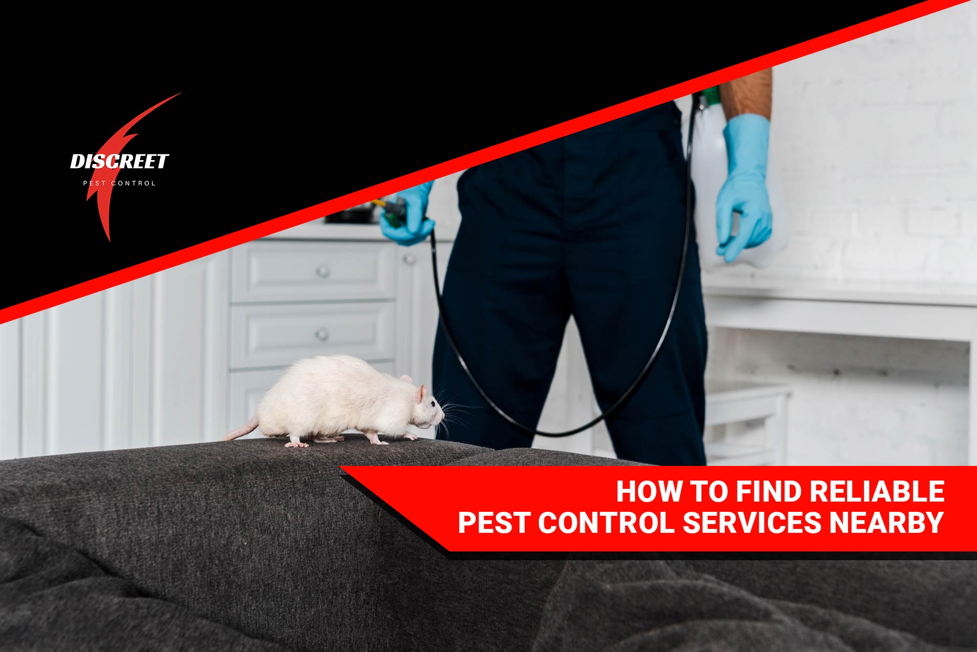 How-to-Find-Reliable-Pest-Control-Services-Nearby